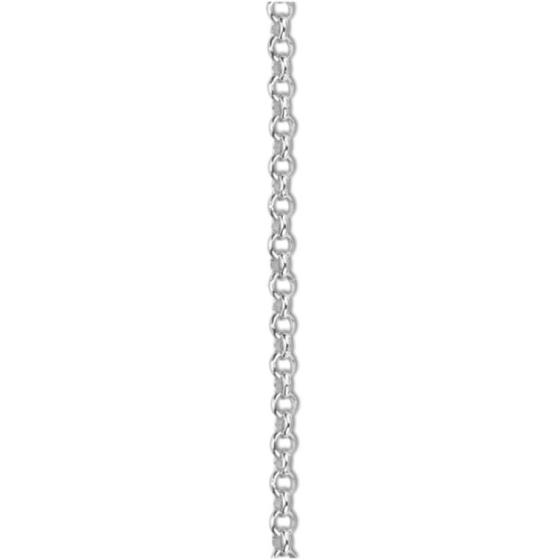 EVELYNE-M CHAIN | Rolo 1.5 - Silver
