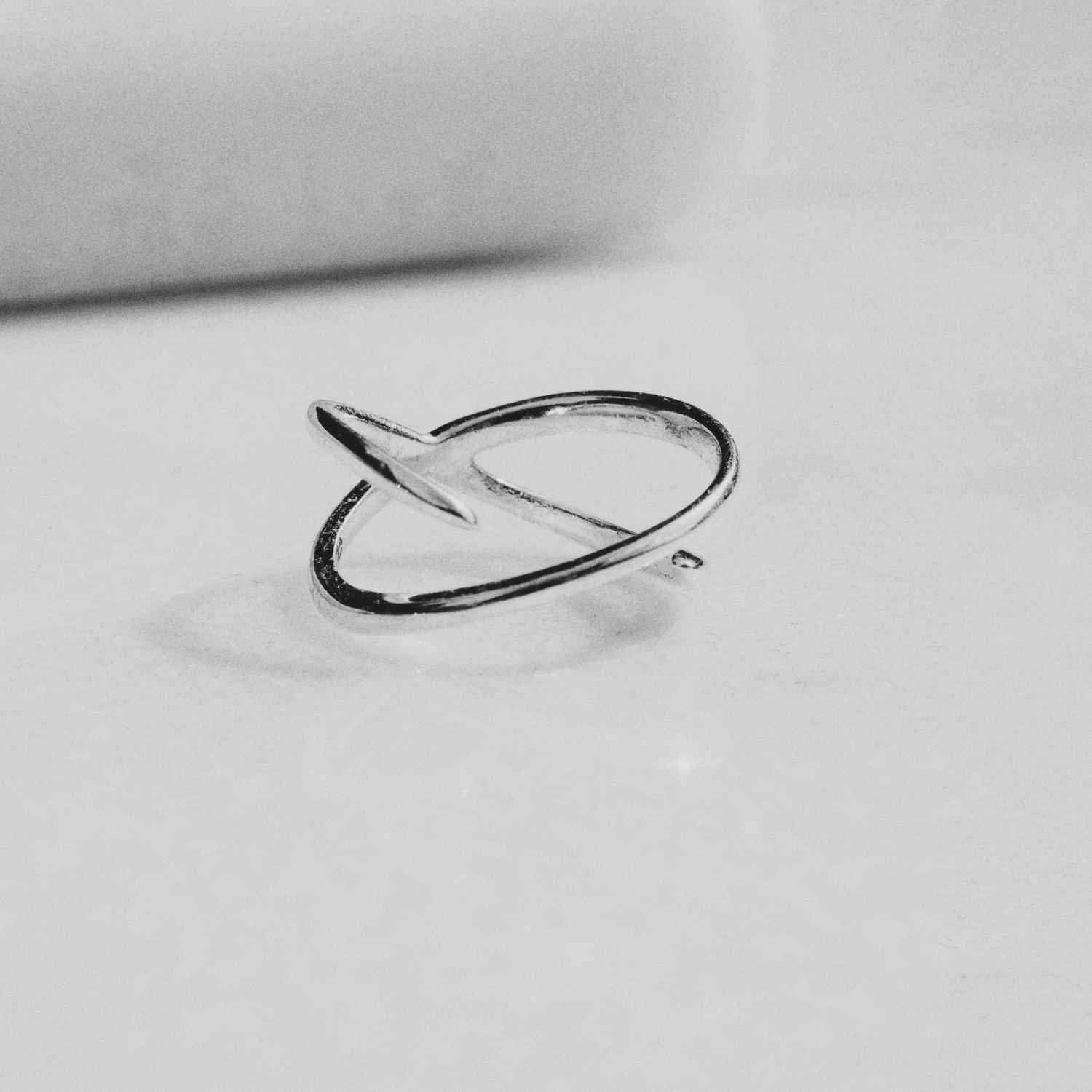 EVELYNE-M SMILODON | Spin - Ring - Silver