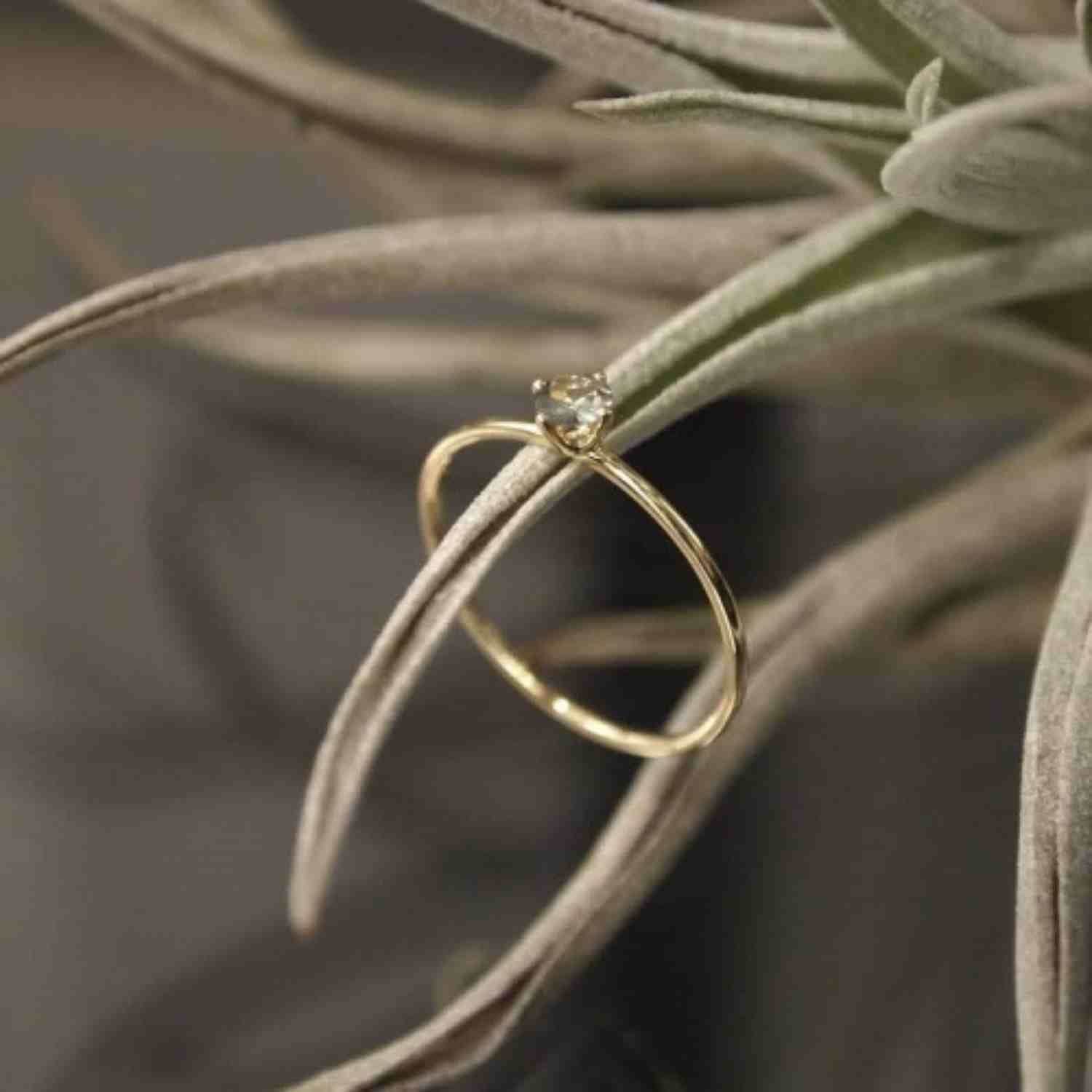 EVELYNE-M SOLITAIRE | BlueGreen Sapphire (S) - Ring - 18 Karat Gold