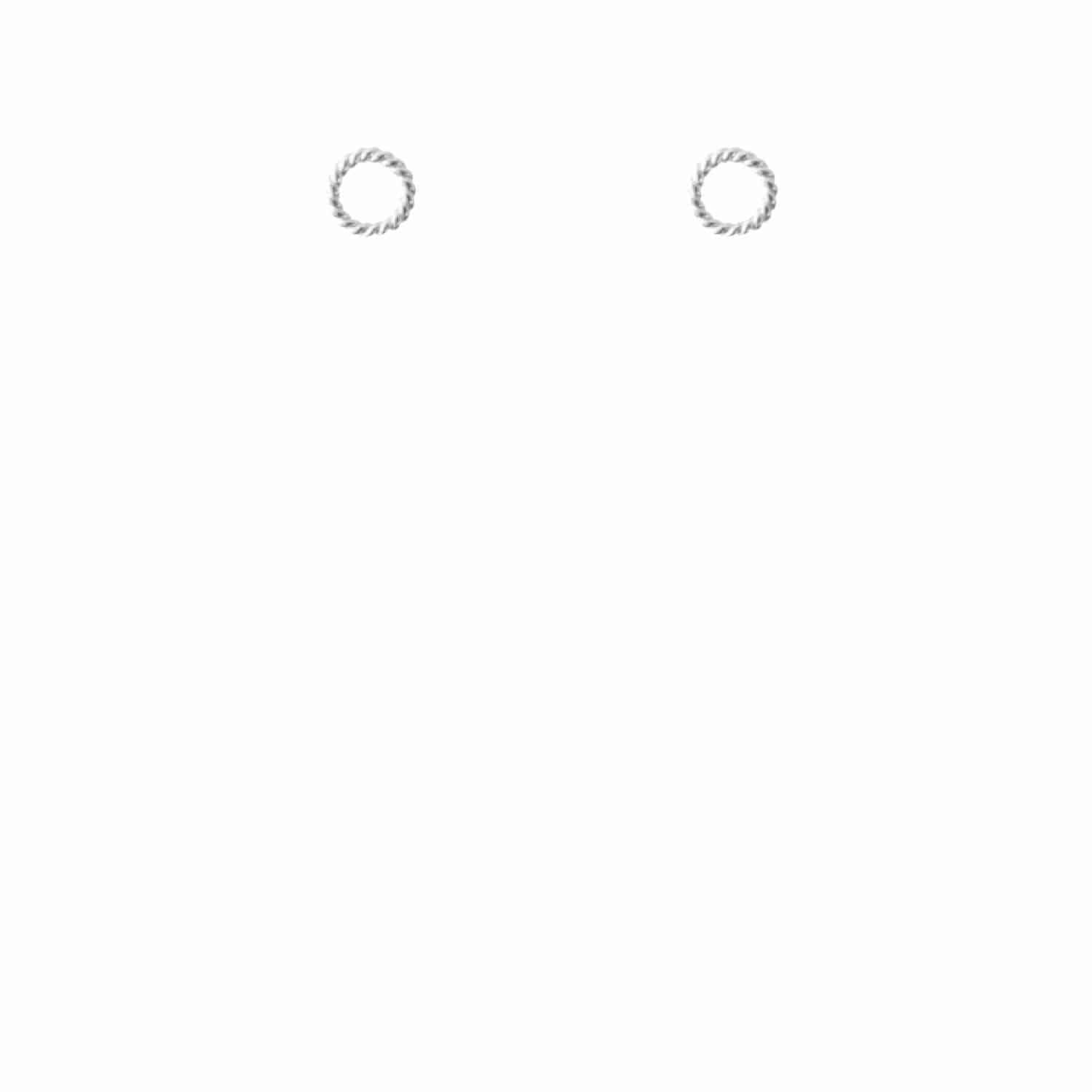EVELYNE-M SOPHIE | Twist Circle - Stud Earring - Silver