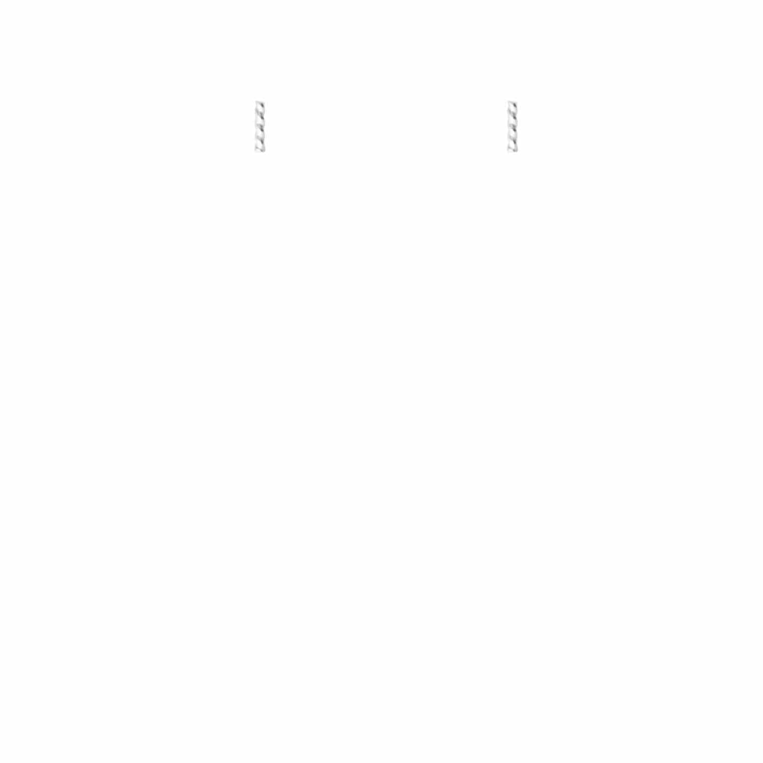 EVELYNE-M SOPHIE | Twist Line - Stud Earring - Silver