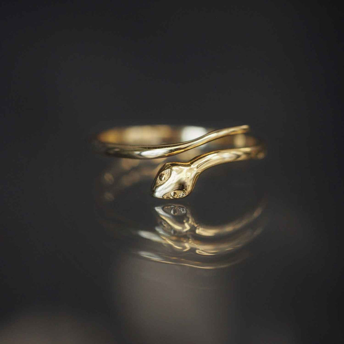 EVELYNE-M ANIMORUM | Serpent - Ring - 18 Karat Gold