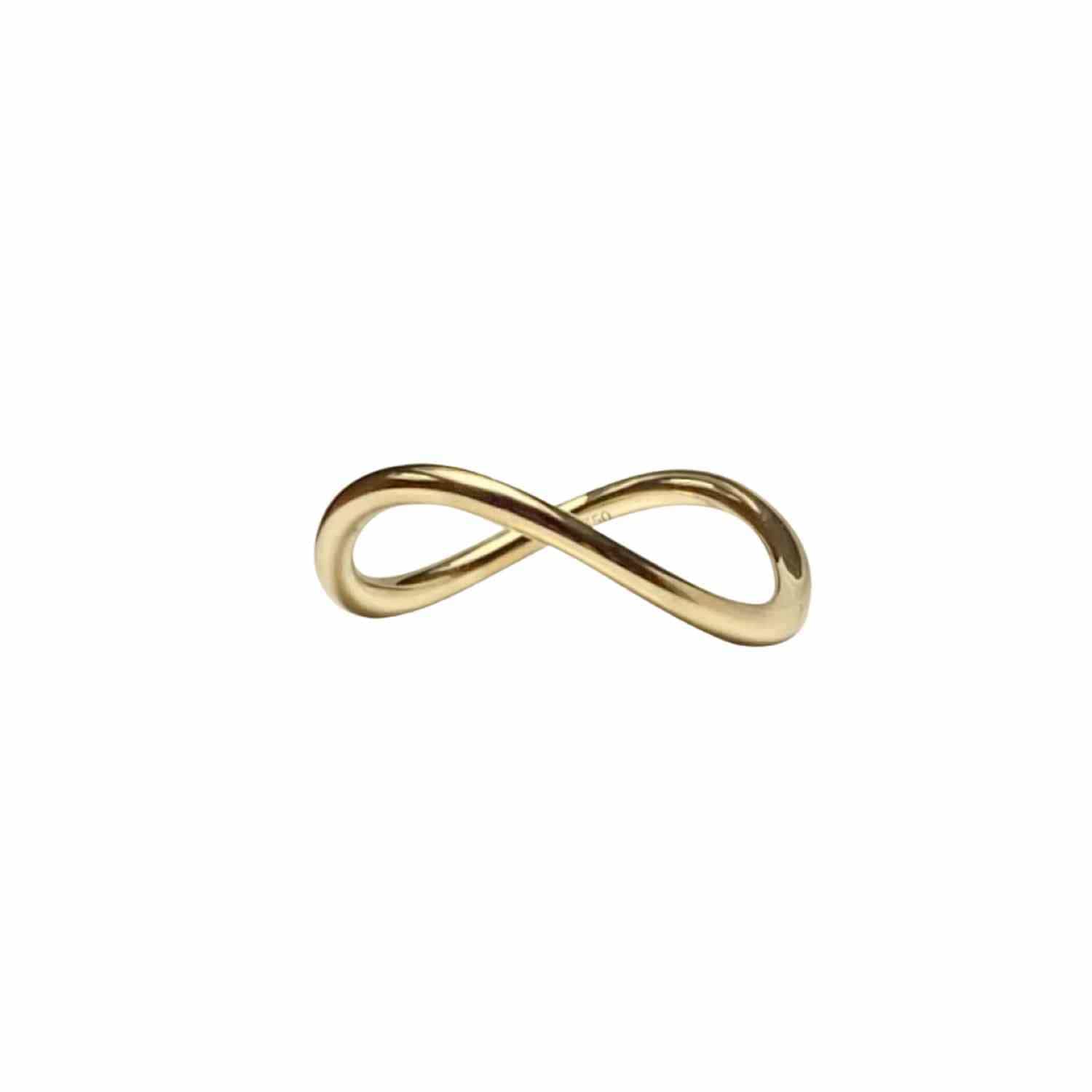 EVELYNE-M CURVACEOUS | Endlessness - Ring - Gold