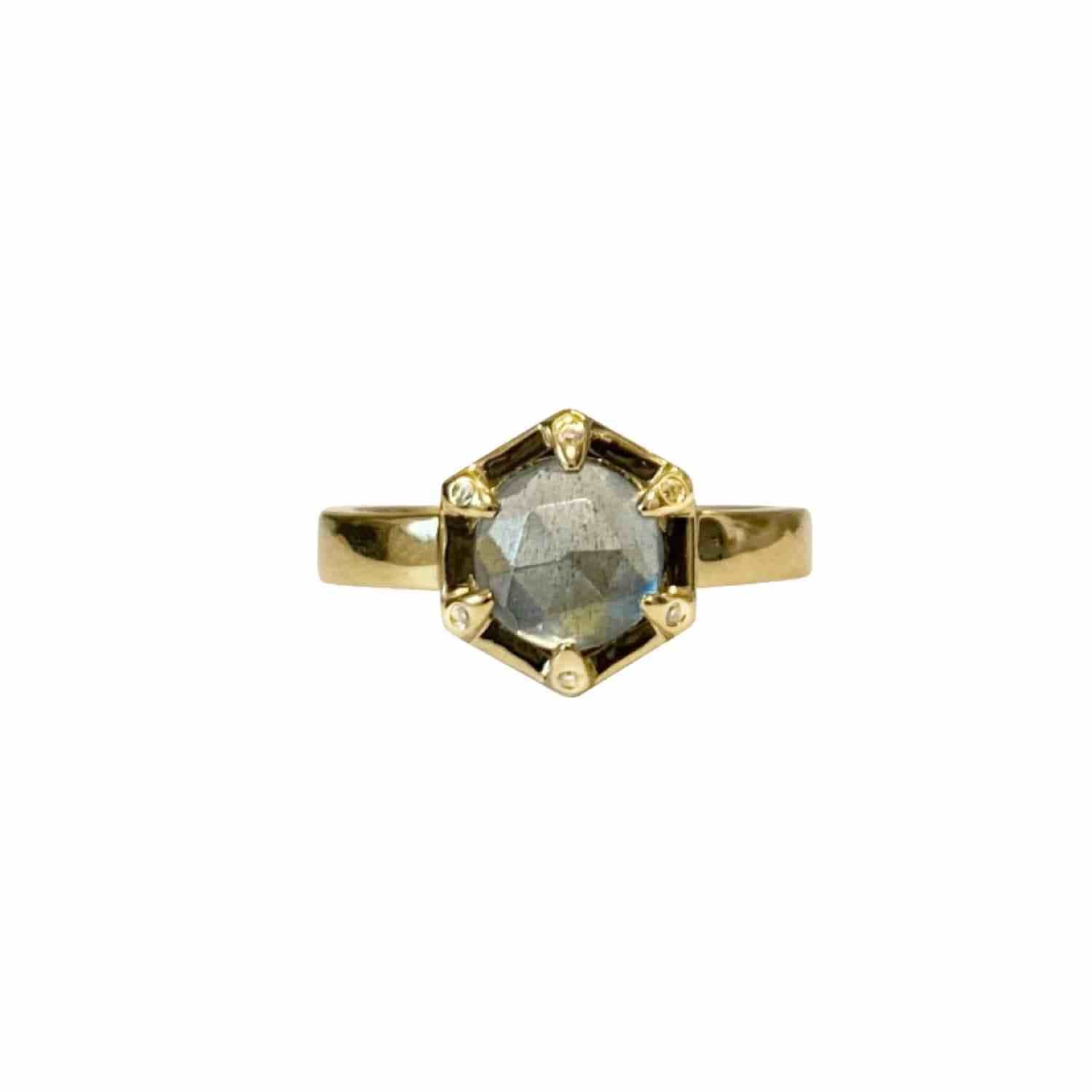 EVELYNE-M SMILODON | Aquamarine Diamond Claw Solitaire - Ring - 18 Karat Gold