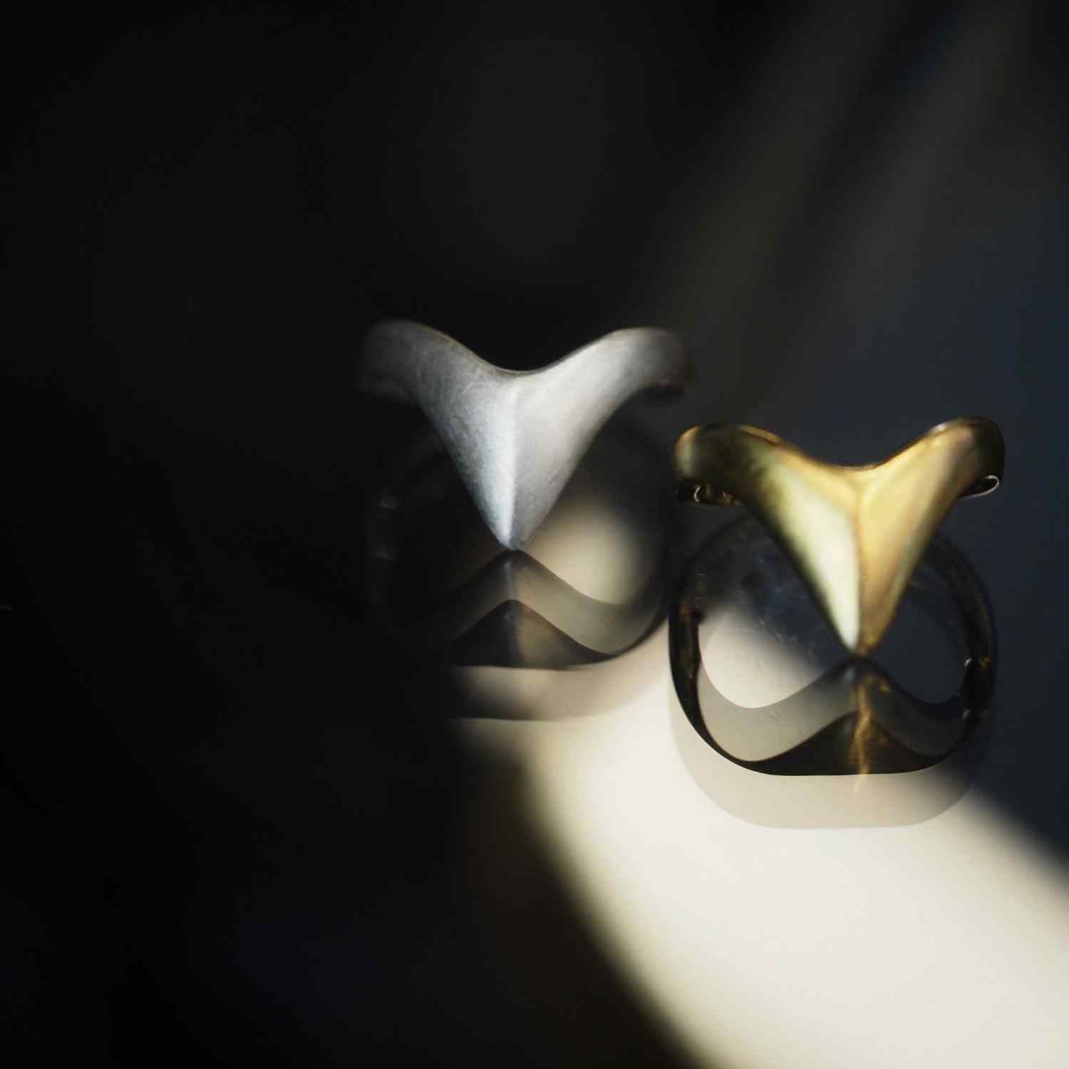 EVELYNE-M SMILODON | Claw - Ring - Silver